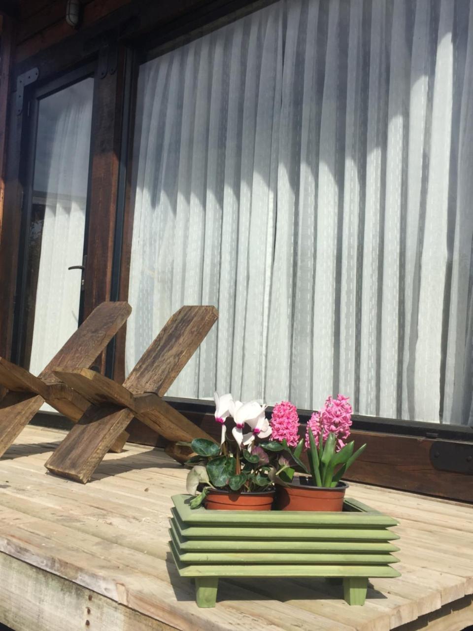 Palo Santo Panzió Pichilemu Kültér fotó